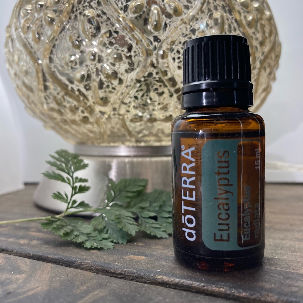 Eucalyptus- Half Priced Doterra Oils! 🌺
